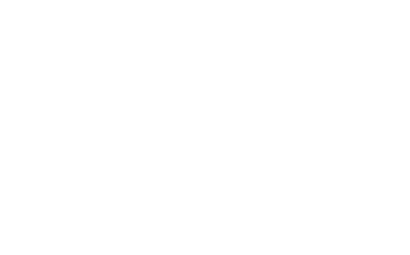 Anicalls Logo